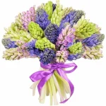 Гиацинты микс